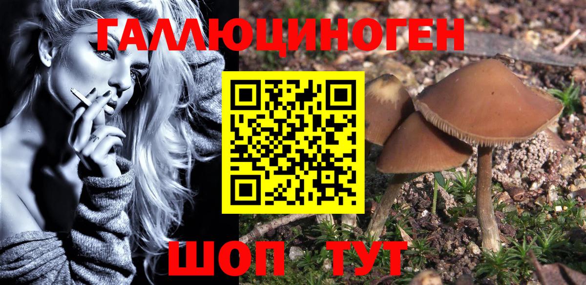 Лыткарино  где можно купить   Вход с VPN  Псилоцибиновые грибы мухоморы 